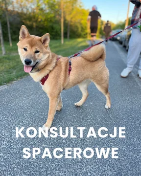 Zdjęcie z klubu Psia Warta