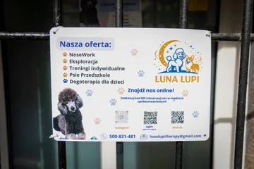 Infotabliczka