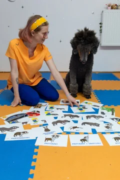 Dogoterapia 