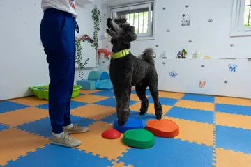 Trening indywidualny 