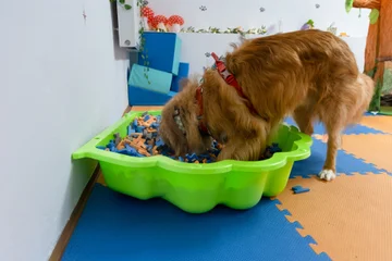 Zdjęcie z klubu Luna Lupi 
