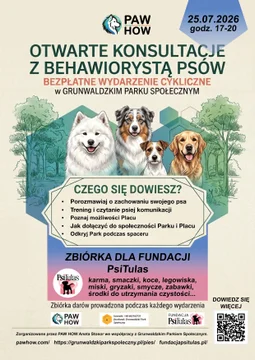 Otwarte konsultacje na placu