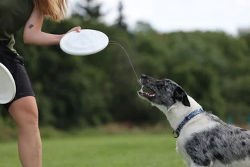 Woof Motion