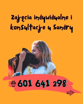 Zdjęcie z klubu Psy na luzie