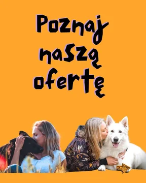 Zdjęcie z klubu Psy na luzie