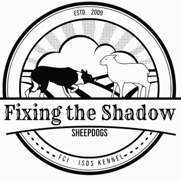 Zdjęcie z klubu Fixing the Shadow Sheepdogs