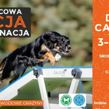 Czerwcowa Akcja Egzaminacja vol. 2 