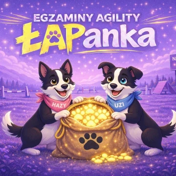 I ŁAPanka - egzaminy A1 i A2 w Hazy Hills