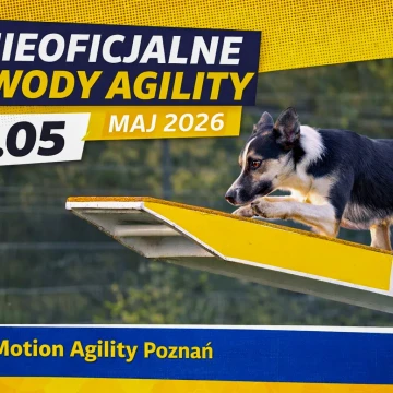 Nieoficjalne zawody agility, maj 2026