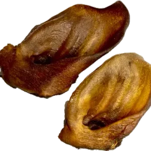 UCHO DZIKA [3szt] - Dziczyzna