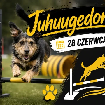 Treningowe Zawody Agility Juhuugedon