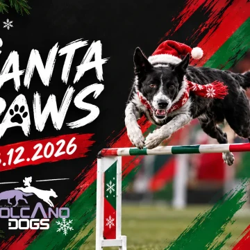 SANTA PAWS - świąteczne zawody treningowe!