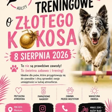 Torki treningowe o złotego kokosa 