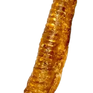 TCHAWICA JAGNIĘCA  - Gryzaki naturalne