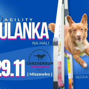 Juhuulanka
