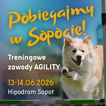 Pobiegajmy w Sopocie - treningowe zawody agility 