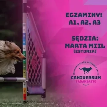I Łapkomania na hali
