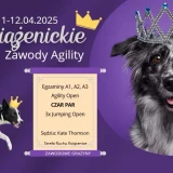 II Książenickie Zawody Agility