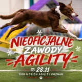 Nieoficjalne zawody agility, listopad 2026