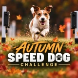 Autumn speed dog challenge 