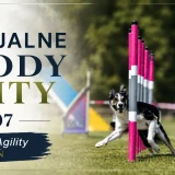 Nieoficjalne zawody agility, lipiec 2026