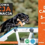 Czerwcowa Akcja Egzaminacja vol. 2 