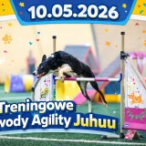 Treningowe Zawody Juhuu