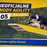 Nieoficjalne zawody agility, maj 2026