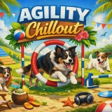 Agility Chillout