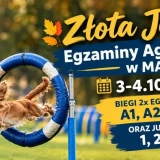 🍂 Złota Jesień – Niedzielne Egzaminy + Jumpingi Agility 2026 w MAC