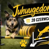Treningowe Zawody Agility Juhuugedon