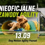 Nieoficjalne zawody agility, wrzesień 2026