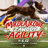 Nieoficjalne zawody agility, grudzień 2026