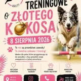 Torki treningowe o złotego kokosa 