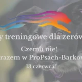 Treningowki dla zeróweczek 