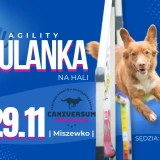 Juhuulanka