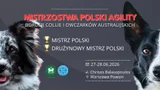Mistrzostwa Polski Border Collie i Owczarków Australijskich (typ amerykański)